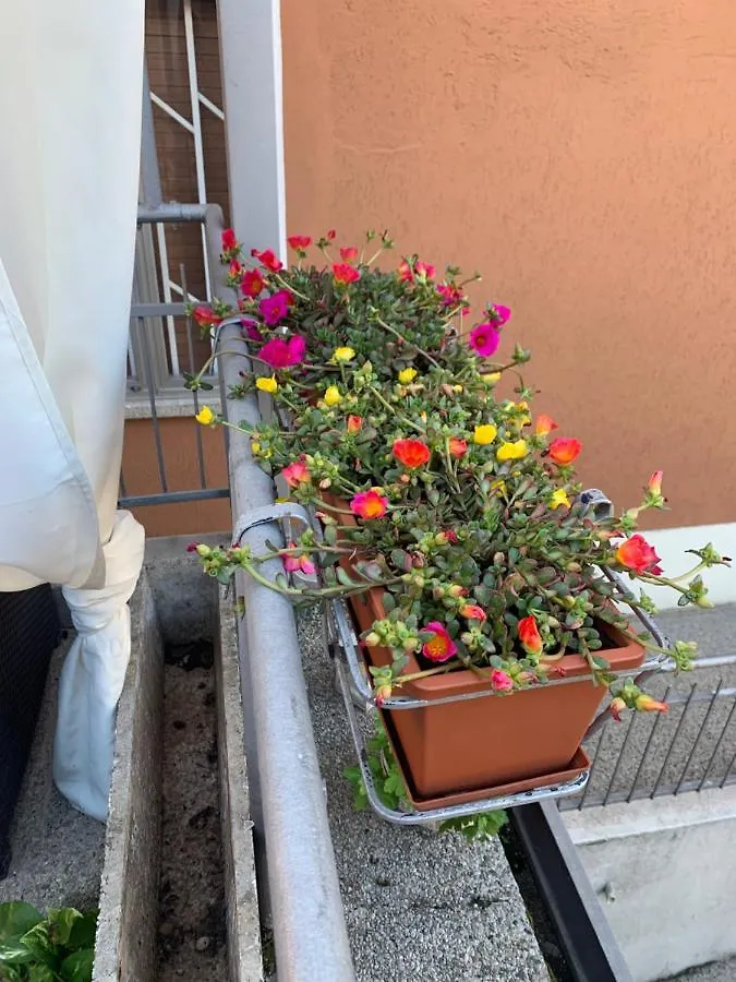 New Verona Business And Fun G B Rossi Friendly Italy