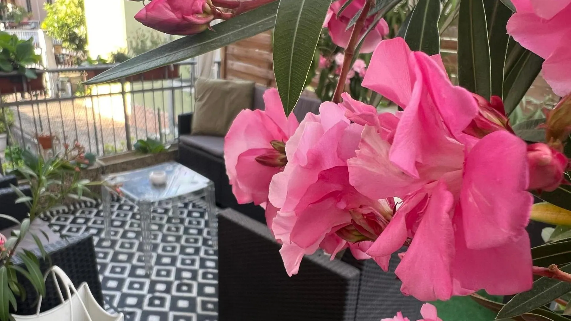 Guest house New Verona Business And Fun G B Rossi Friendly Italy